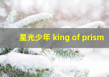 星光少年 king of prism